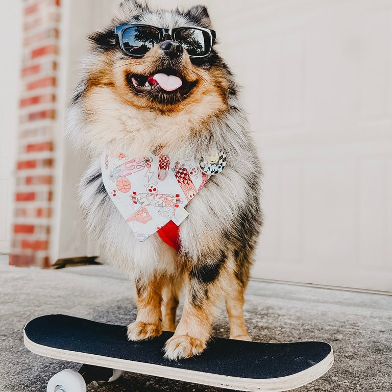 skater boy
