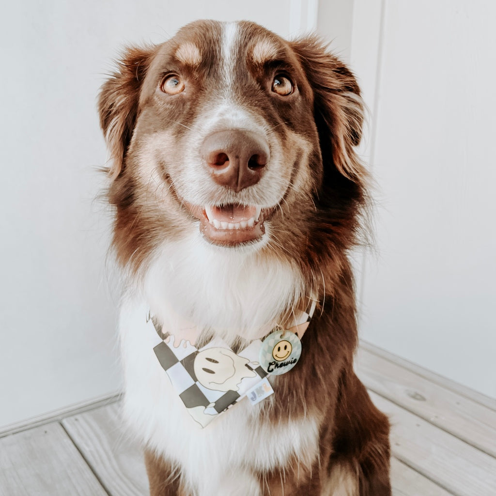 HOT PUP SUMMER