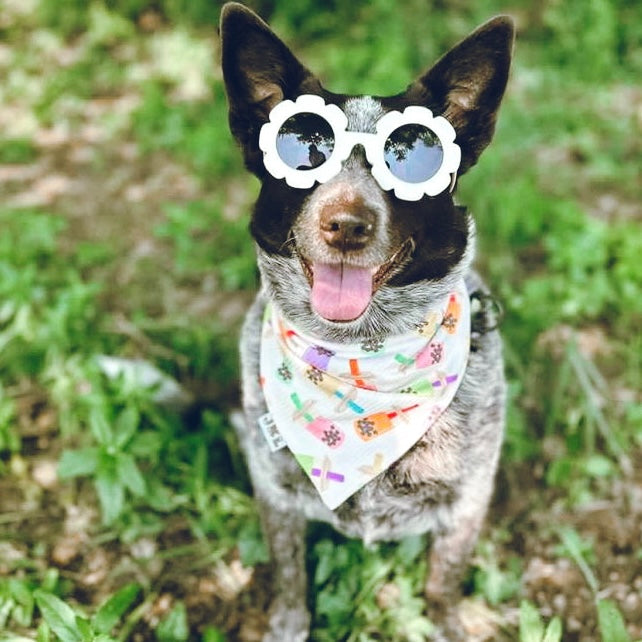 bobalicious