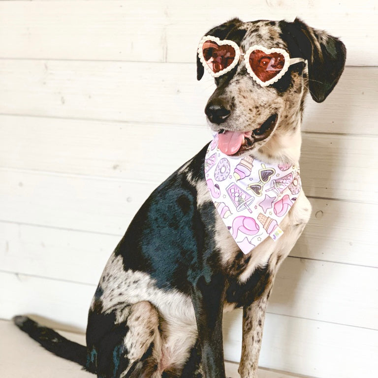 pool pawty *swim* (purple)