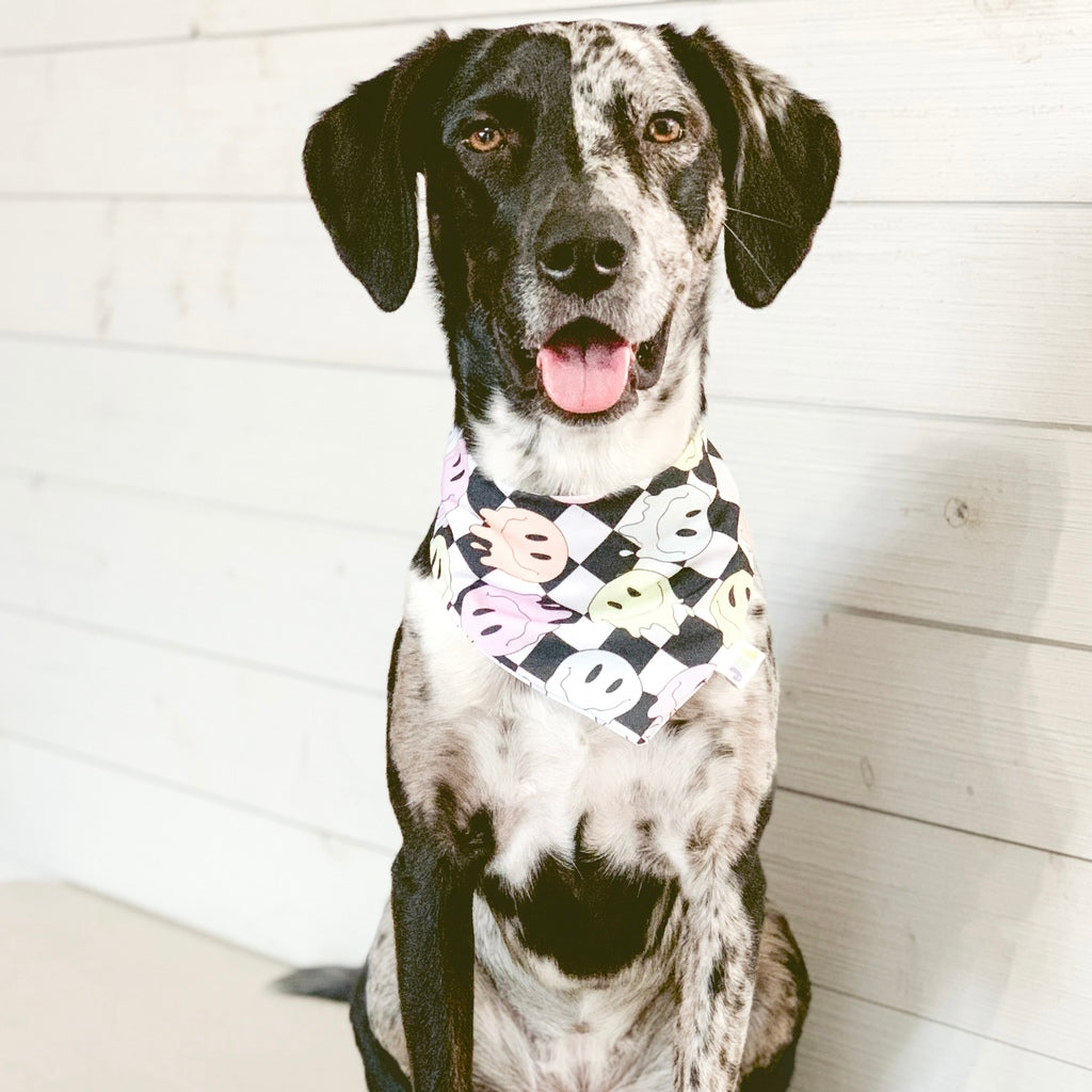 HOT PUP SUMMER